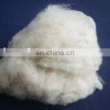 Dehaired and Carded Chinese Sheep Wool Med Shade 19.5mic/30-32mm