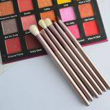 Factory Customized Hot 6pcs High Quality Wool Hair Portable Eyeshadow Brush Makeup Brush Set ODM&OEM thumbnail-3
