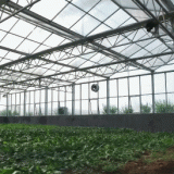 Multi Span PC GLASS Agricultural Greenhouse thumbnail-5