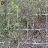 Surrounding Type Metal Fence for Grassland /field Fence Attractive Appearance thumbnail-4