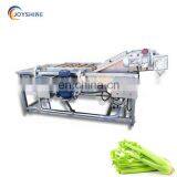 Industrial Salad Fruit Vegetable Washer Machine Apple Avocado Carrot Washer With Ozone Generator thumbnail-6
