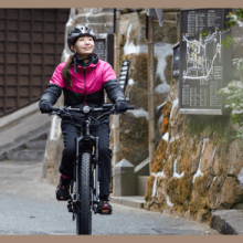 Factory Supply Electric Bike 48V 60V 350w 500w 10ah 13ah Two 2 Seat Electric Cycle for Cargo Delivery thumbnail-4