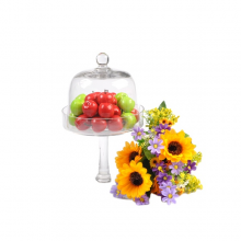 Glass Dome thumbnail-2