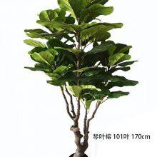 High Quality Fiddle Leaf Bonsai Plants Decorative Home Outdoor Bonsai Stand thumbnail-3