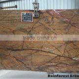 Rain Forest Brown- Marble