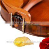 High Quality Stringed Instrument Violin Flamed Matte Violin 4/4 1/8 TL003-1 thumbnail-6