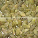New Crop Chinese Pumpkin Seed Kernel Grade AA thumbnail-1