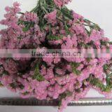 Fresh Factory Direct Fresh Cut Myosotis Flower thumbnail-6