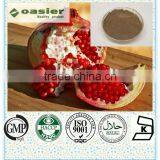Natural Manufacturer Supply GMP Pomegranate Husk Extract Factory Price thumbnail-1