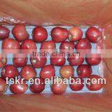 Fruit Red Huaniu Apple From China thumbnail-1