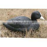 Lifelike 13" Hunting Coot Decoy Hunting Duck Decoy