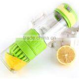 Bpa Free Food Grade Fruit Infuser Glass Fruit Infuser Sport Water Bottle 500ml thumbnail-3