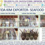PANGASIUS HYPOPTHALMUS -TAPILA FROZEN BASA FILLLET - TIDA KIM - BLACK TIGER SHRIMP LIVE FROZEN LOBSTER P ORNATUS thumbnail-6