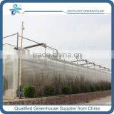Polycarbonate Sheet Agricultural Greenhouse