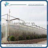 3 layer 10mm PC Sheet Venlo Greenhouse