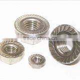 Fasteners Hex Flange Nuts and Bolt DIN EN ISO 4034/DIN 6923 thumbnail-4