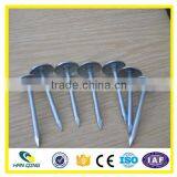 Smooth Shank Roofing Nail High Quality Made in China thumbnail-5