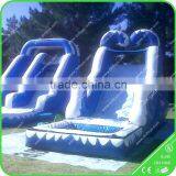 Commercial Inflatable Swimming Pool Slide for Sale