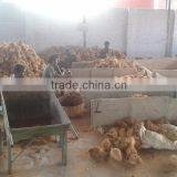 Pollachi Cocount Exporters thumbnail-1