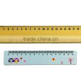 Magnetic Ruler Stationery Home Office Use Measure Magnet Ruler thumbnail-5