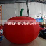 Giant Inflatable Tomato Model for Festival Decoration thumbnail-1