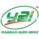 Yuvaraju Agro Impex company overview - view 1 thumbnail