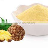 Spray Dried Pineapple Powder