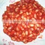 Canned White Kidney Beans in Tomato Paste 400g