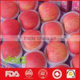 Export China Fresh Red Fuji Apples With Great Quality thumbnail-2