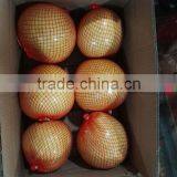 Fresh Citrus Fruit Fresh Polemo thumbnail-3