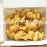 2017 Fresh Ginger 150g and up thumbnail-1