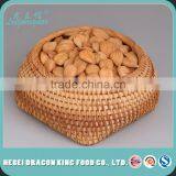 Hot Sale Bitter and Sweet Organic Apricot Nut for Snack and Beverage thumbnail-5