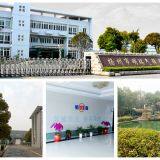 Jiangsu Mingrui Gas Spring Technology Co.,Ltd company overview - view 1 thumbnail