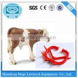 Cow Nose Thorn for Calf Ablactation thumbnail-4
