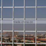 Factory 5x5 Welded Wire Mesh Price Galvanized Welded Wire Mesh Piece Galvanized Welded Wire Mesh Panel
