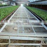 Anti-corrosion Seedbed Benches for Greenhouse thumbnail-1