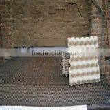 Waterproof Package 30 Pieces Paper Egg Tray thumbnail-3