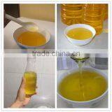 Avocado Oil Press Machine for Home Use thumbnail-3