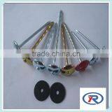 High Quality Galvanized Umbrella Roofing Nails With Rubber Washer thumbnail-3