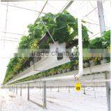 Multi Span Greenhouse Agricultural Vegetable Greenhouse thumbnail-3
