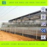 Galvanized Steel Frame 8mm/10mmSingle-span/multi-span Polycarbonate Greenhouse thumbnail-2