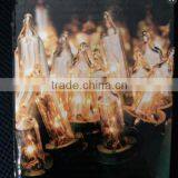 LED Mini Lights thumbnail-2