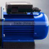 Top Quality 750w Electric Pool Pump for Clean Water thumbnail-3