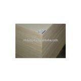 Poplar Plywood (with Good Quality and Low Price) thumbnail-1