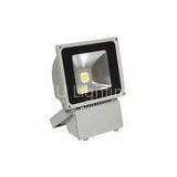 DC 54V IP65 High Power 70W LED Floodlight REX-S007-70W