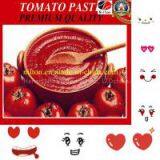 Good Taste Tomato Paste Ketchup thumbnail-3