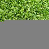 Sell Dehydrated Chive Rolls and Chive Flake thumbnail-1