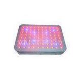 240W Red And Blue Flowering LED Grow Lights Ra 80 For Greenhouse
