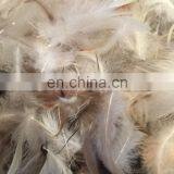 10" x 10" 10/90 Down Feather Pillow Cushion Insert Cushion Pad thumbnail-2