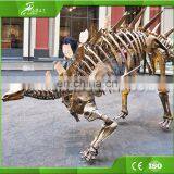 KAWAH Theme Museum Life Size Realistic Artificial Dino Skeleton thumbnail-5